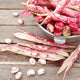 Bean Seeds (Bush) - Taylor Dwarf Horticultural