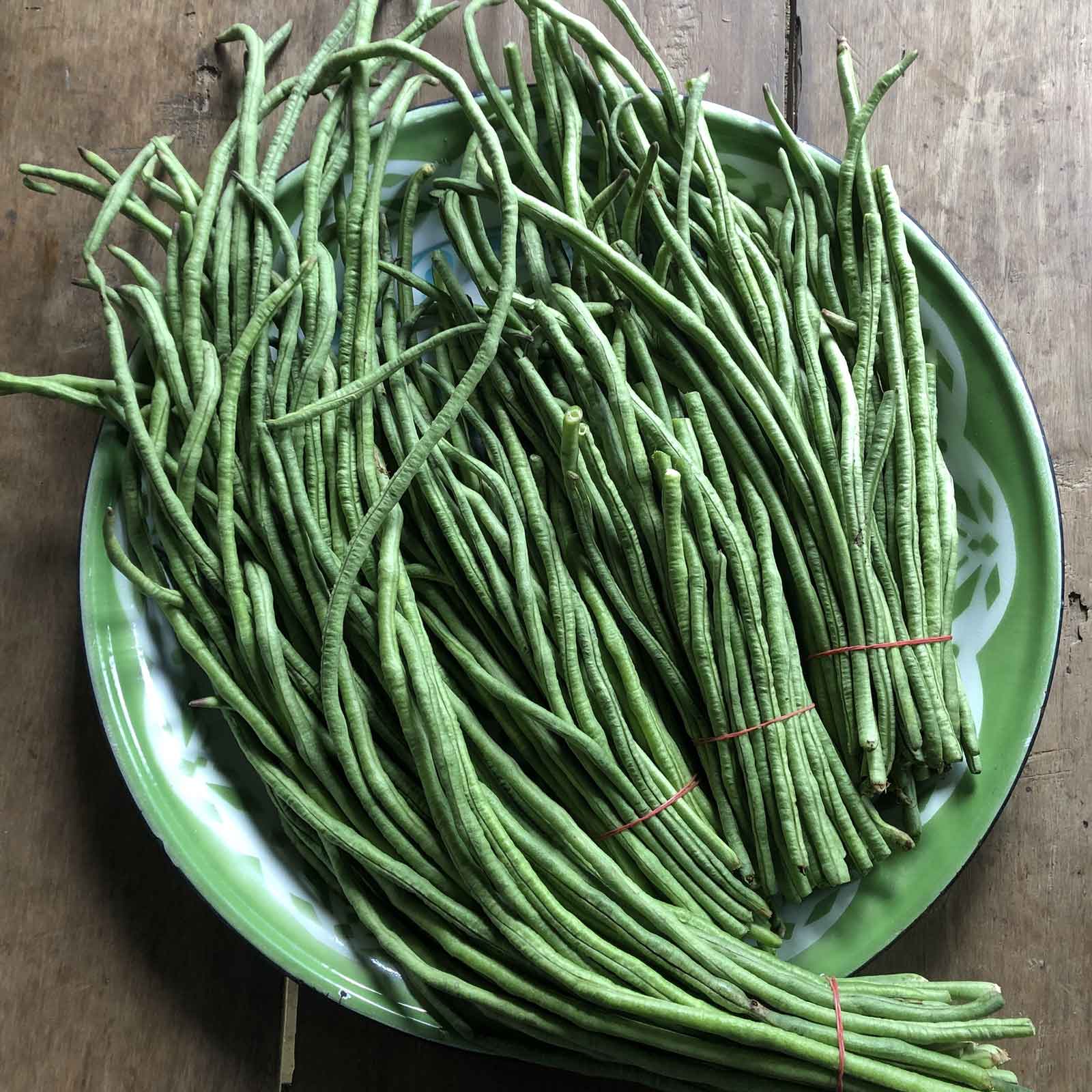 Plate of beans orient wonder harvested and bundled on a wooden table.