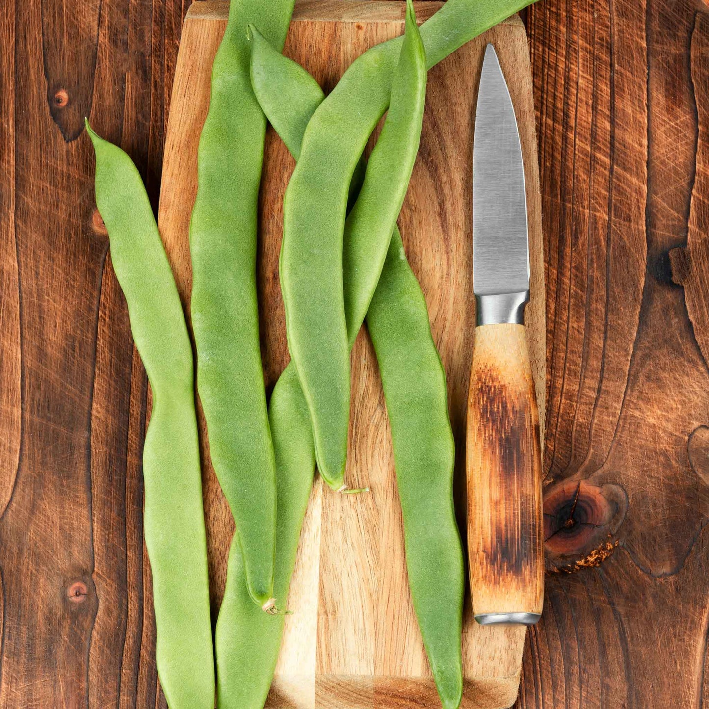 A close-up shot of several dried, light-colored Romano beans, showing their distinctive shape and texture.