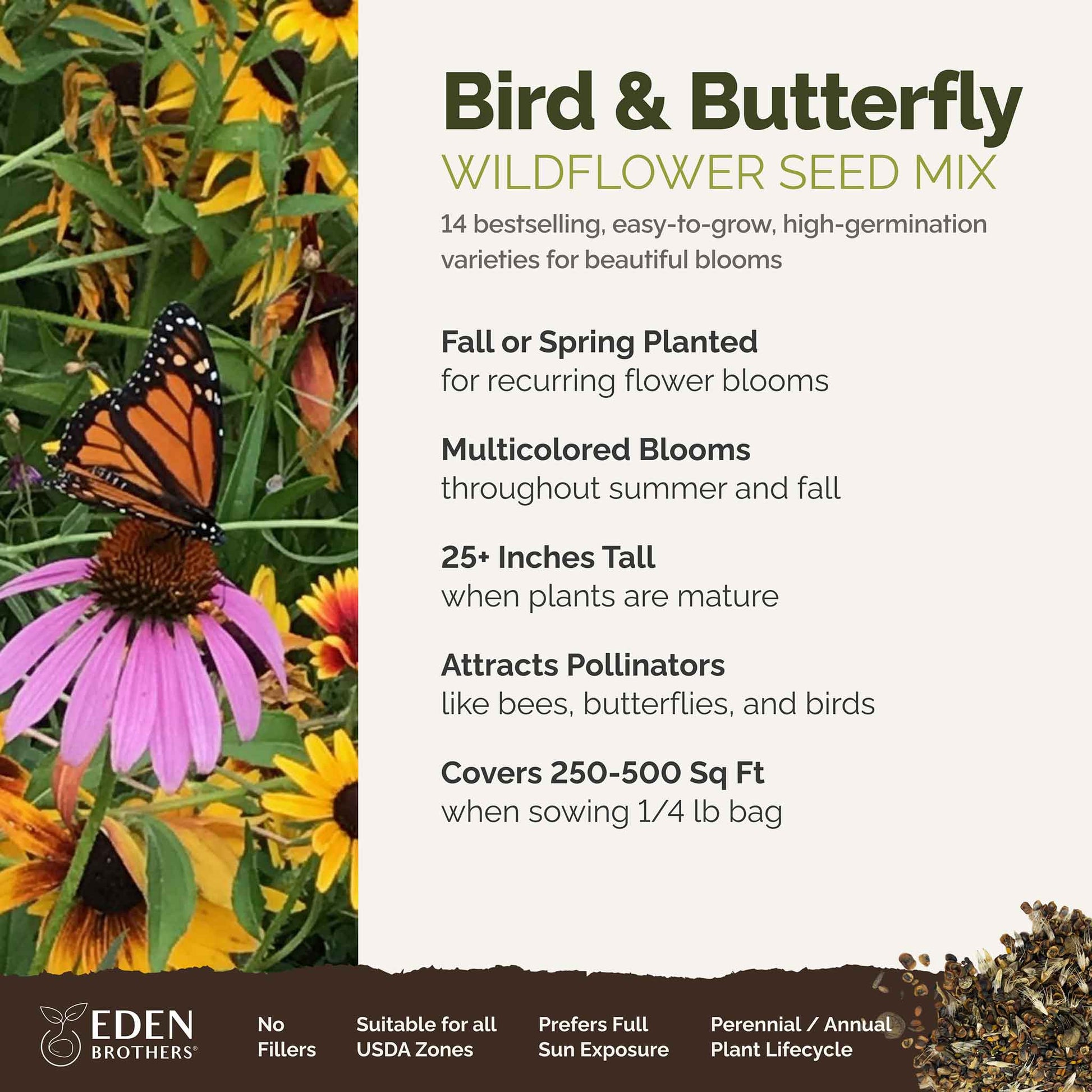 A visual overview of the wildflower seed mix, showcasing expected floral blooms.