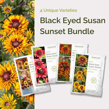 Graphic of black eyed susan sunset bundle pack displaying a product image and contents of the bundle.