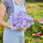 Person holding a bouquet of blue lace lavender blue flowers in a garden setting