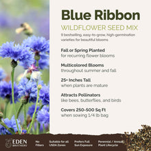A visual overview of the wildflower seed mix, showcasing expected floral blooms.