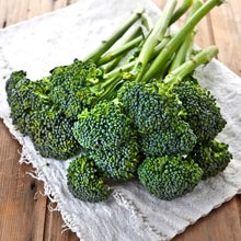 A close-up shot of green broccoli florets with a neutral background.