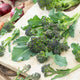 Broccoli Seeds - Purple Sprouting