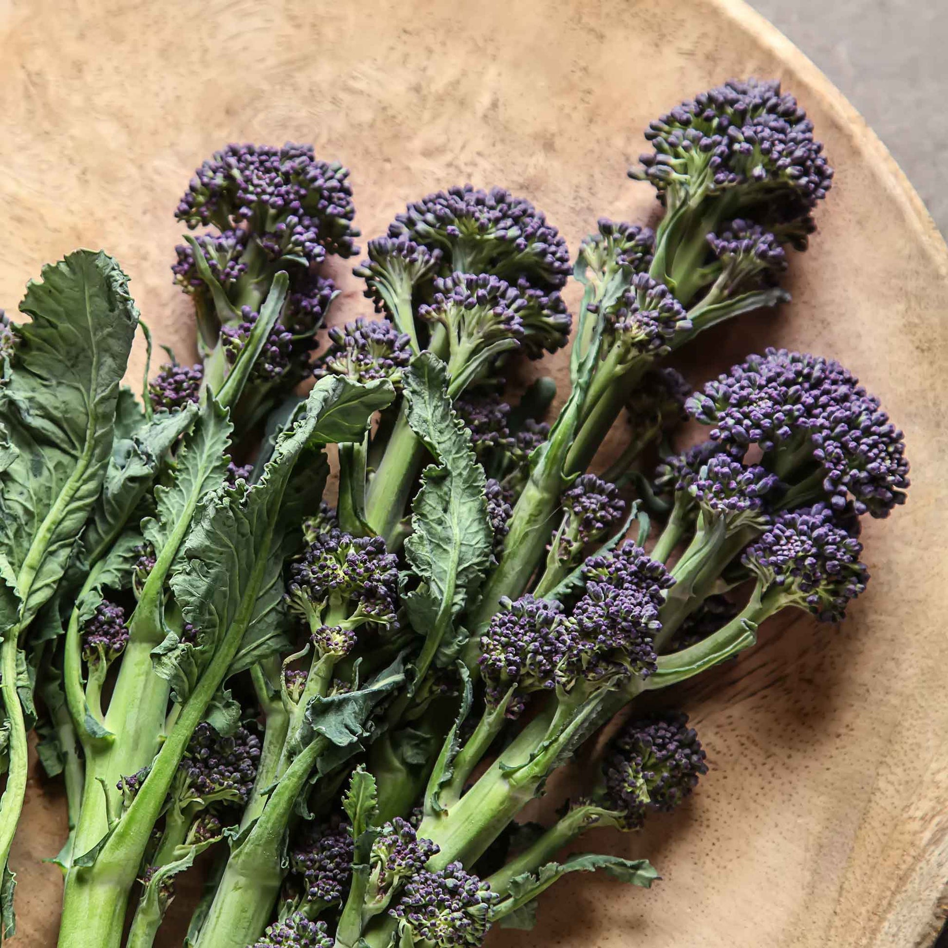 Close-up of purple sprouting broccoli heads with vibrant purple florets and green stems.