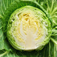 A medium close-up of a round, vibrant green Copenhagen Market cabbage head sliced in half