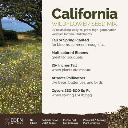 A visual overview of the wildflower seed mix, showcasing expected floral blooms.