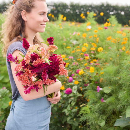 Person holding a bouquet of colorful flowers from the celosia rooster bundle in a natural setting