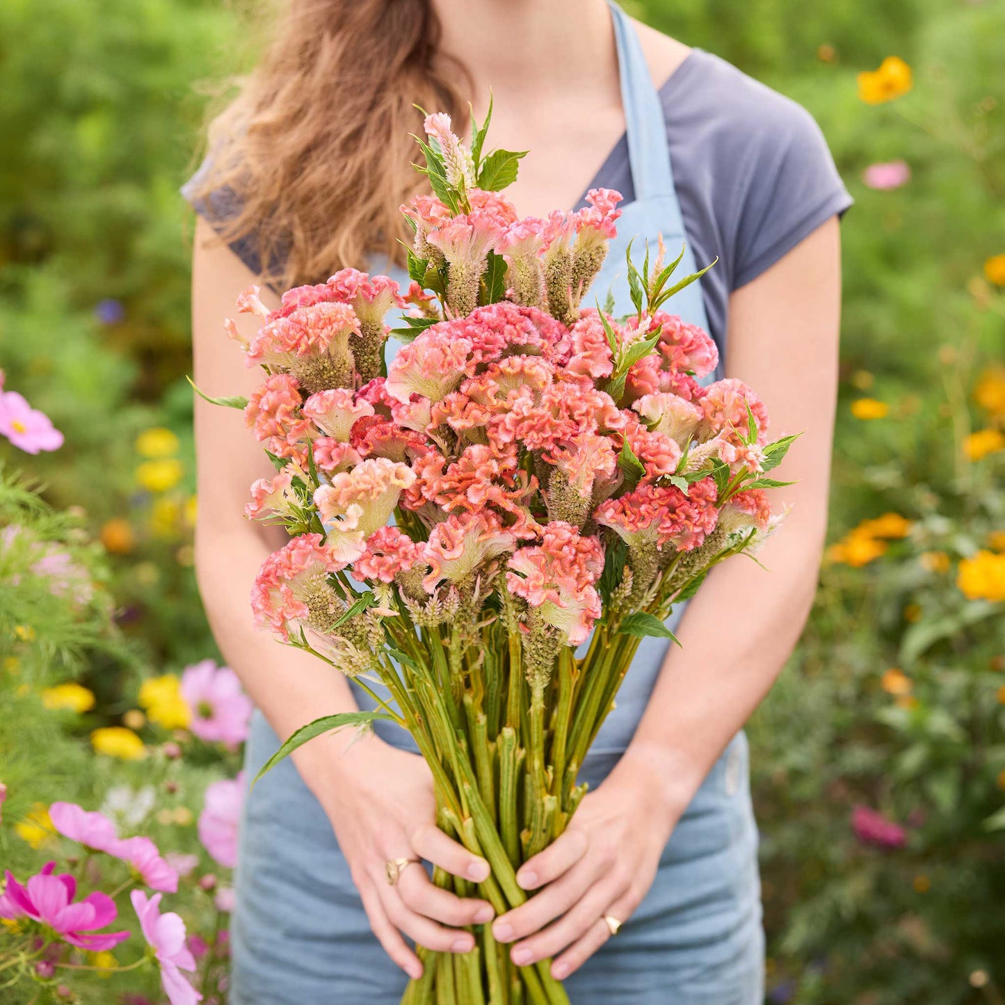 Person holding a bouquet of celosia rooster pink flowers in a garden setting