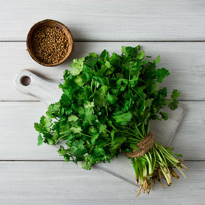 A bundl of Eagle Cilantro bound with hemp next to a bowl of cilantro seeds set against a neutral background