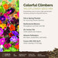 A visual overview of the wildflower seed mix, showcasing expected floral blooms.