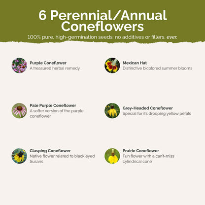 List of flower species and seeds included in the Wildflower Seed Mix.