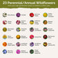List of flower species and seeds included in the Wildflower Seed Mix.