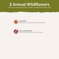 List of flower species and seeds included in the Wildflower Seed Mix.