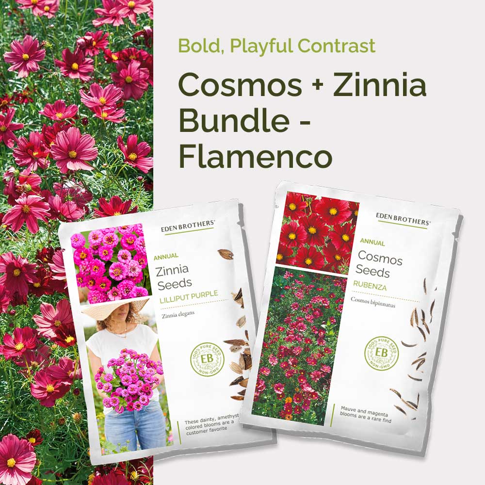 Graphic of cosmos and zinnia flamenco bundle pack displaying a product image and contents of the bundle.