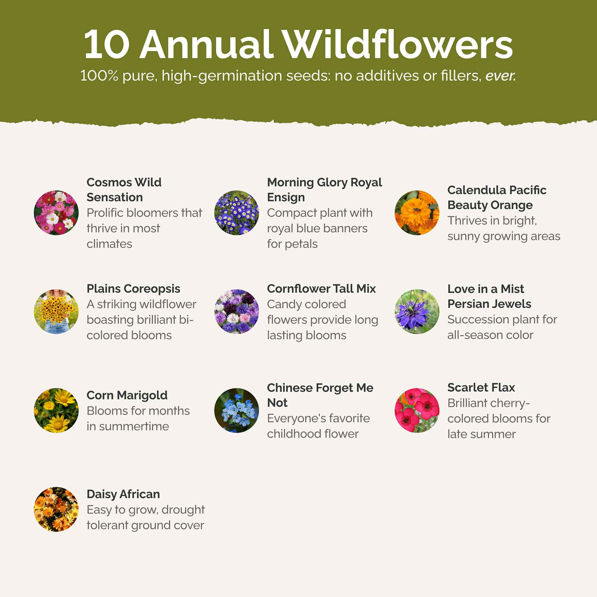 List of flower species and seeds included in the Wildflower Seed Mix.
