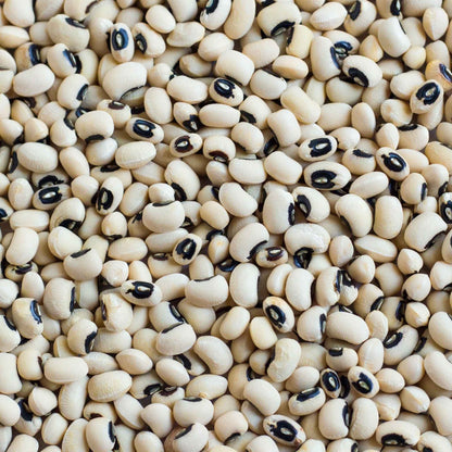 Close-up of cover crop black-eyed cowpeas with a focus on their texture and color.