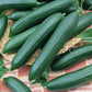 Several Tendergreen Burpless cucumbers with tapered bodies, dark green and smooth skin, on a plaid background.