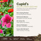 A visual overview of the wildflower seed mix, showcasing expected floral blooms.
