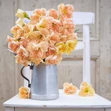 A bouquet of Apricot Whirl daffodils in a metal vase in a country cabin setting.