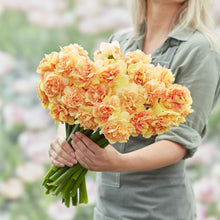 A person holding a bouquet of Egg Benedict daffodil flowers in a garden setting.