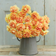 A bouquet of Egg Benedict daffodils in a metal bucket showing it's vibrant colors.