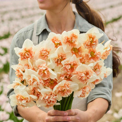 A person holding a bouquet of Fire Drill daffodil flowers in a garden setting.