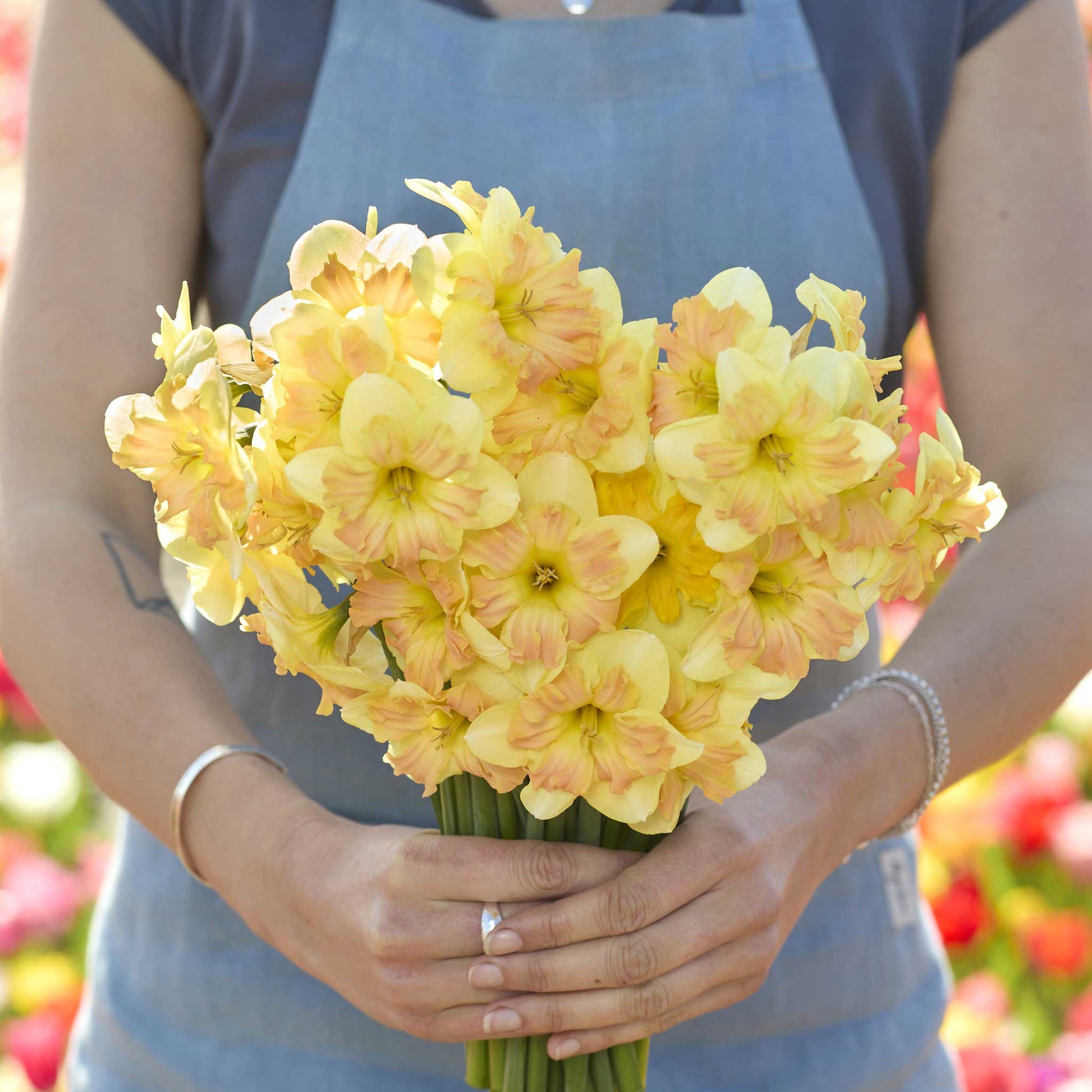 Person holding a bouquet of yellow and pink peachy dream daffodil flowers with a blurred floral background