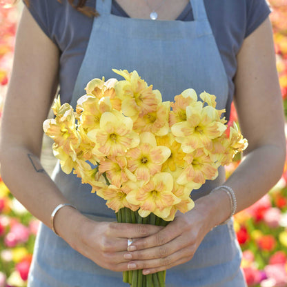 Person holding a bouquet of yellow and pink peachy dream daffodil flowers with a blurred floral background