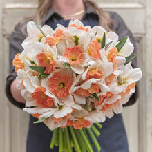 A person holding a bouquet of Precocious daffodil flowers against a neutral background.