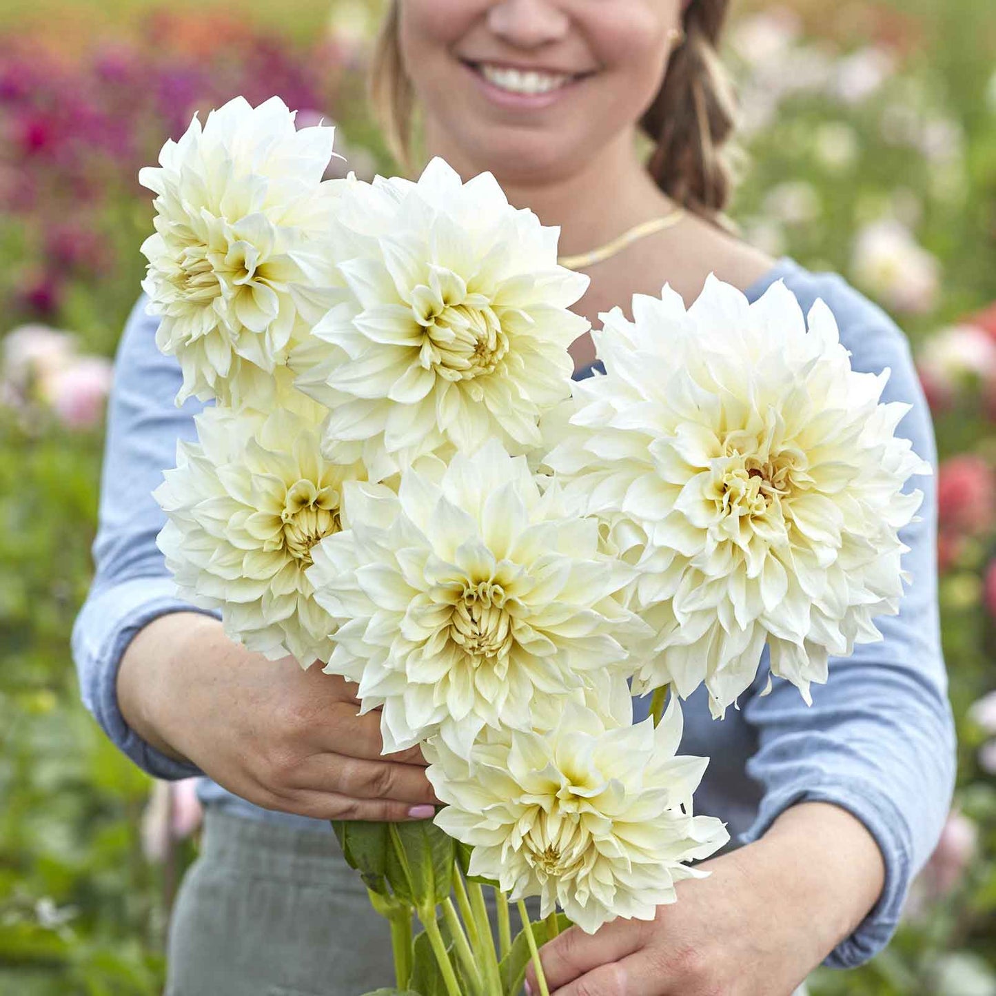 A person holding a bouquet of Cafe au Lait Supreme dahlia flowers in a garden setting.