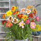 Happy Mix daylily bouquet showing the vibrant white and green colors.