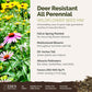 A visual overview of the wildflower seed mix, showcasing expected floral blooms.