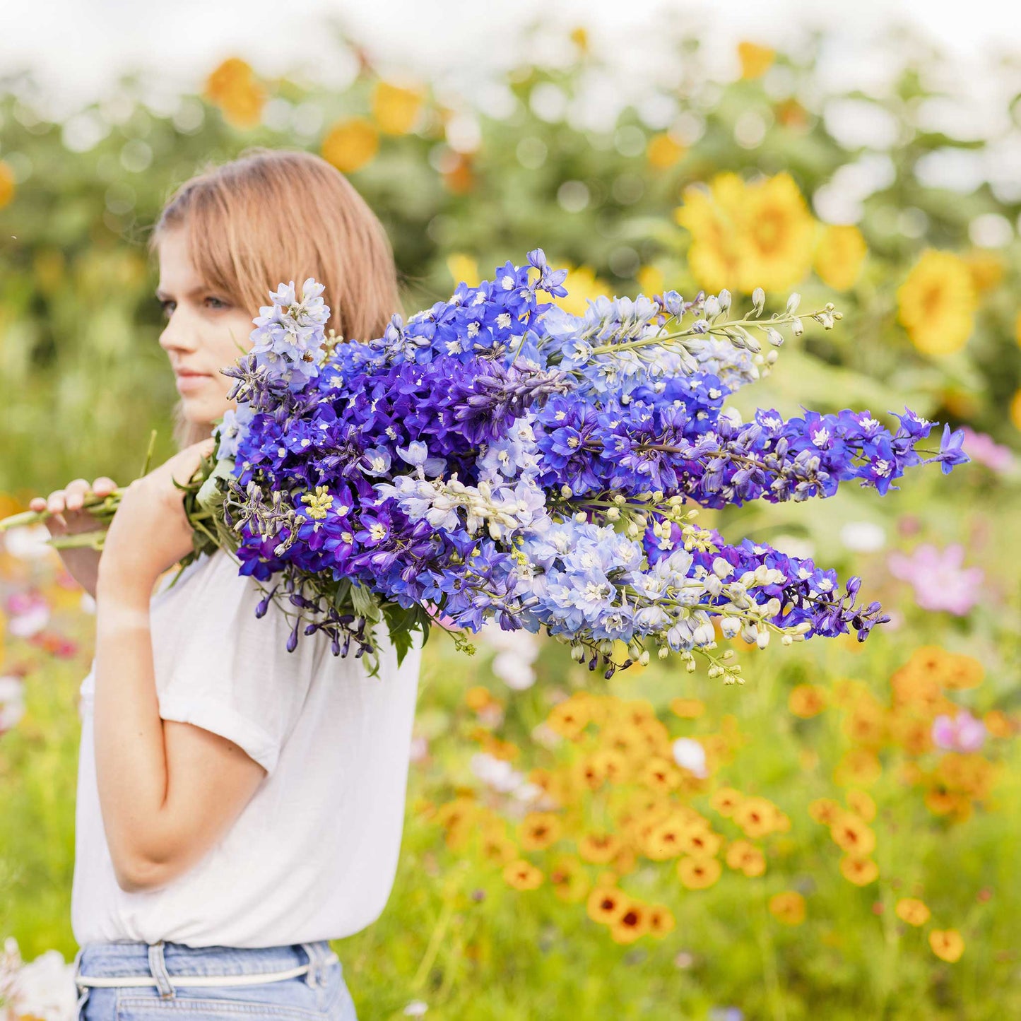 Person holding a bouquet of delphinium pacific mix flowers in a garden setting