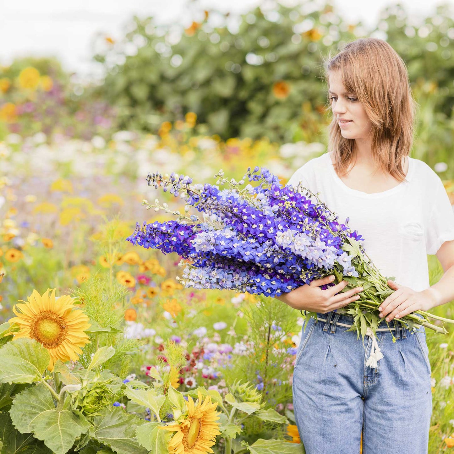 Person holding a bouquet of delphinium pacific mix flowers in a garden setting
