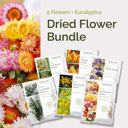 Graphic of dried flower bundle pack displaying a product image and contents of the bundle.