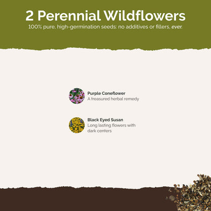 List of flower species and seeds included in the Wildflower Seed Mix.