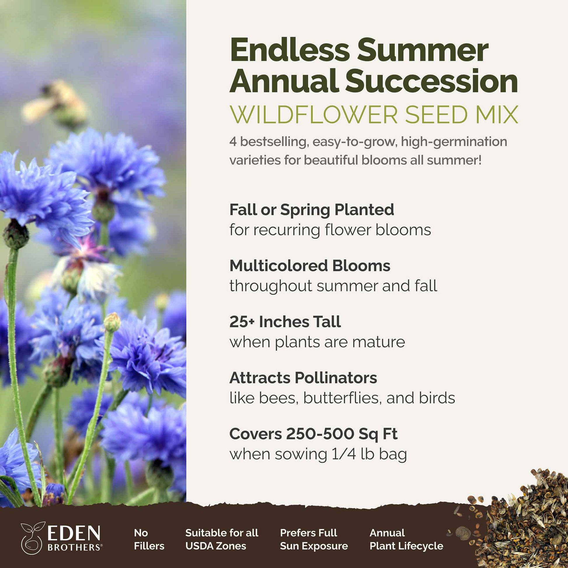 A visual overview of the wildflower seed mix, showcasing expected floral blooms.