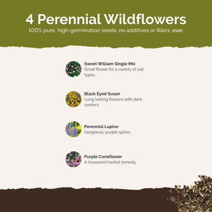 List of flower species and seeds included in the Wildflower Seed Mix.