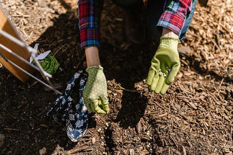 A close-up outdoor shot of a person gardening, wearing green knit gloves with white polka dots and a red plaid shirt, placing seeds into soil next to a small blue-and-white floral seed packet.