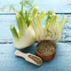 Fennel Seeds (Organic) - Florence