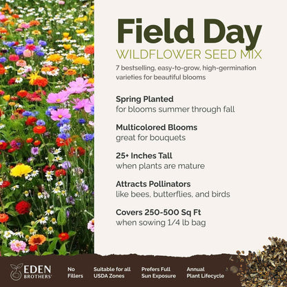 A visual overview of the wildflower seed mix, showcasing expected floral blooms.