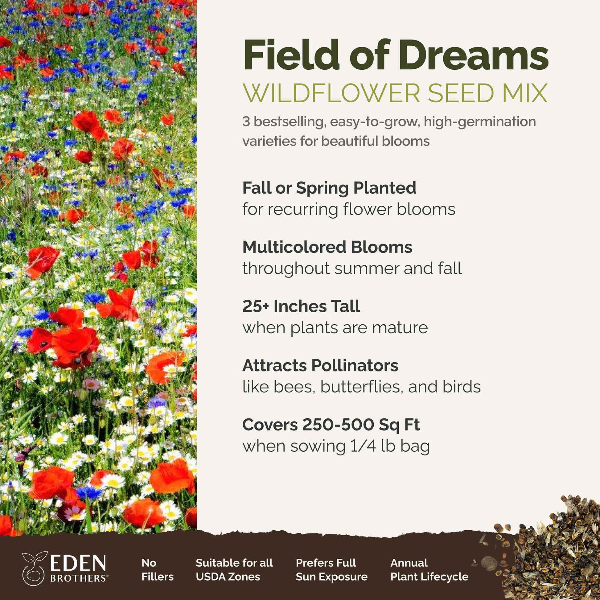 A visual overview of the wildflower seed mix, showcasing expected floral blooms.