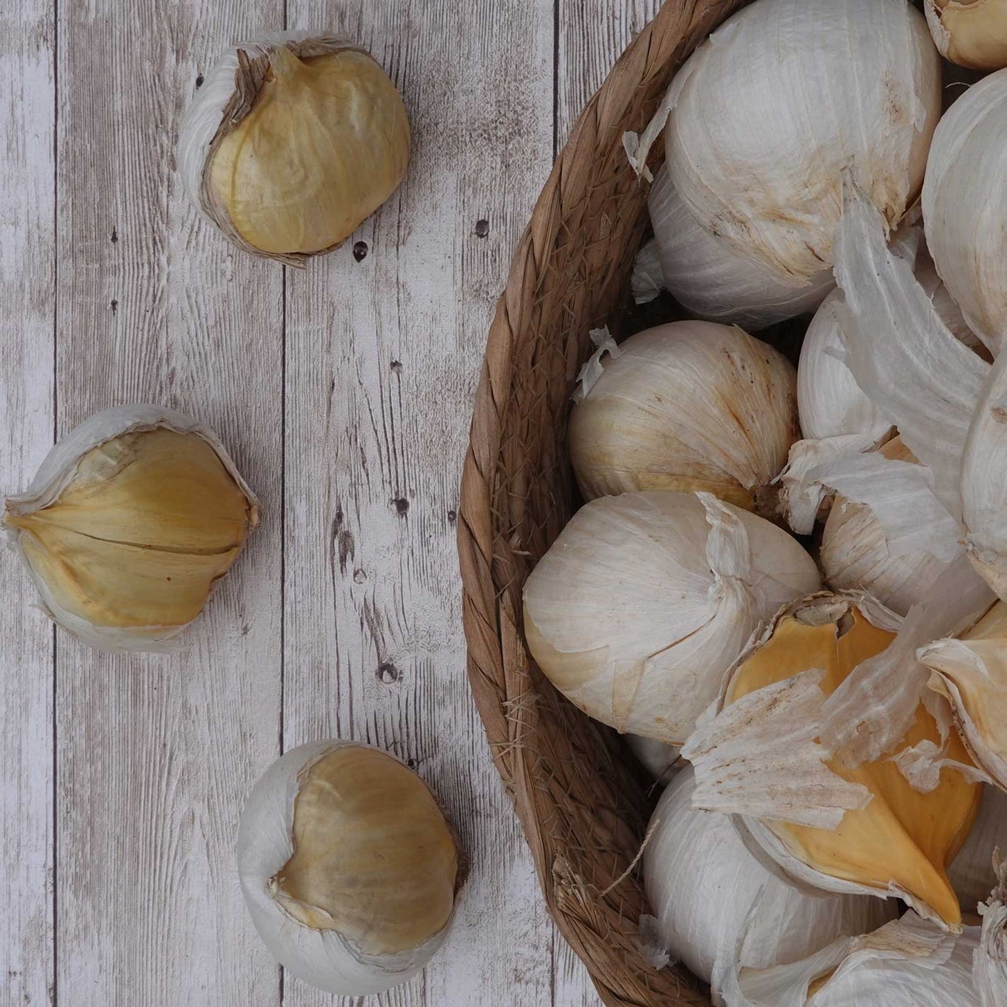 Garlic elephant bulbs in a basket on a wooden table.