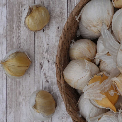 Garlic elephant bulbs in a basket on a wooden table.