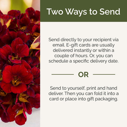 Bouquet of red flowers with text about two ways to send a gift