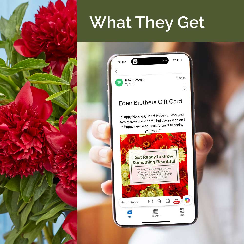 Phone displaying an Eden Brothers gift card with red flowers on the side