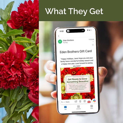 Phone displaying an Eden Brothers gift card with red flowers on the side