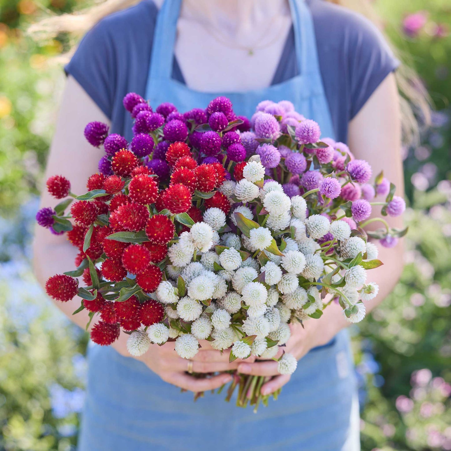 Person holding a bouquet of colorful flowers from the gomphrena bundle in a natural setting